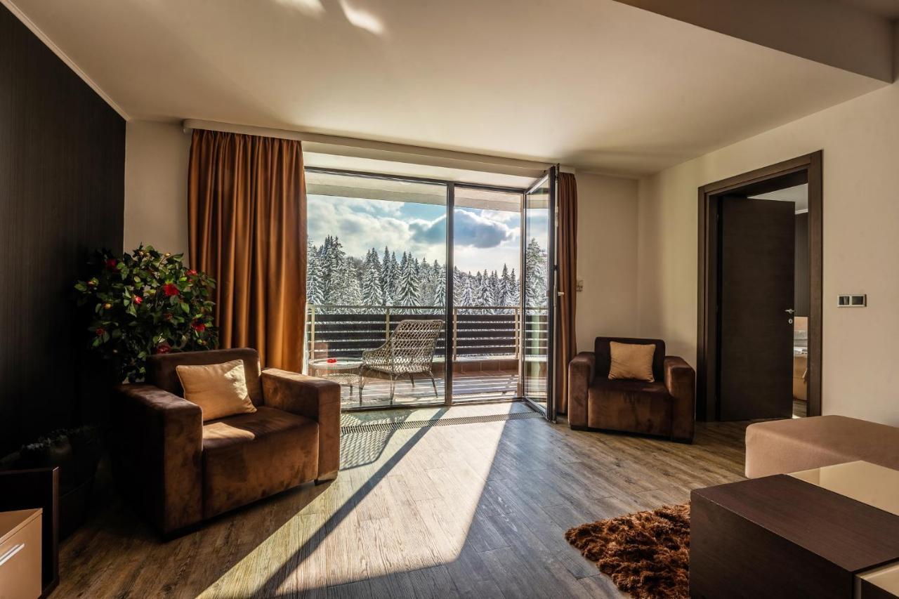 Silver Mountain - Ana'S Apartments بويانا براسوف المظهر الخارجي الصورة