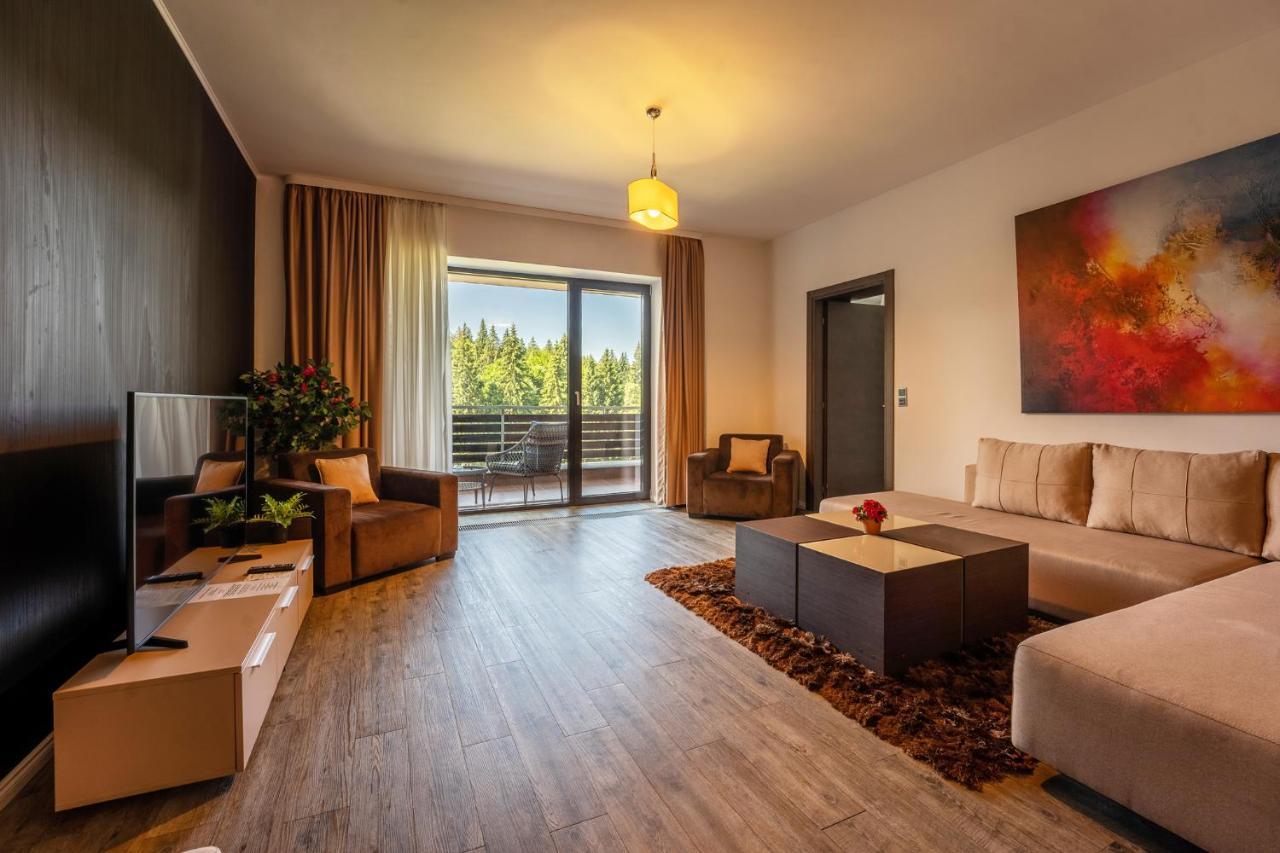 Silver Mountain - Ana'S Apartments بويانا براسوف المظهر الخارجي الصورة