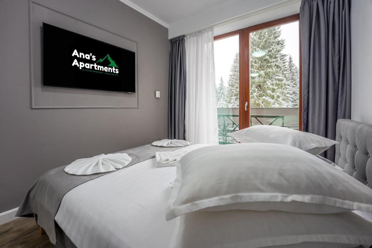 Silver Mountain - Ana'S Apartments بويانا براسوف المظهر الخارجي الصورة